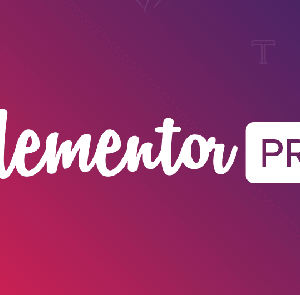 Elementor Pro v3.13.2 β The Most Advanced Website Builder Plugin
